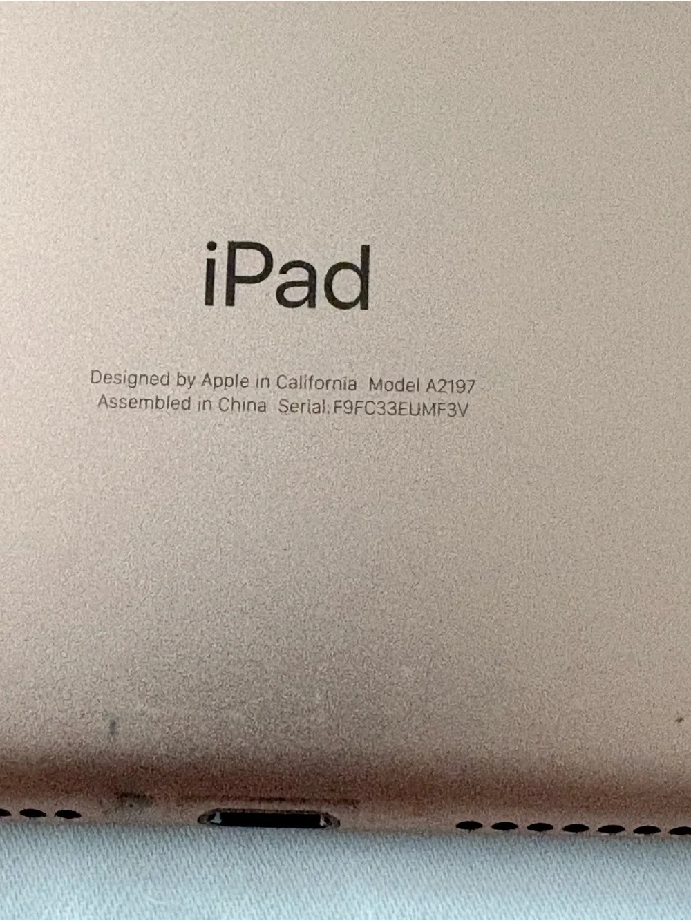 Apple iPad- Rose Gold with White Front